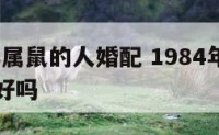 1984年属鼠的人婚配 1984年属鼠的人婚配好吗