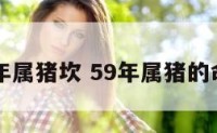 59年属猪坎 59年属猪的命运