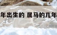 属马的人几年出生的 属马的几年出生多大岁数