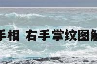 右掌手相 右手掌纹图解算命