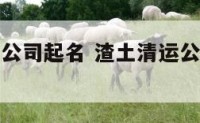 渣土清运证公司起名 渣土清运公司需要什么手续