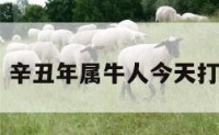 辛丑年属牛 辛丑年属牛人今天打牌财神方位