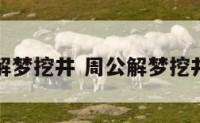 周公解梦挖井 周公解梦挖井出水