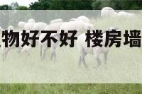楼房墙上种植物好不好 楼房墙上种植物好不好呢