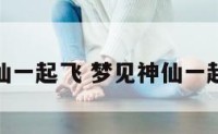 梦见和神仙一起飞 梦见神仙一起飞来飞去
