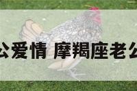 摩羯老公爱情 摩羯座老公好不好