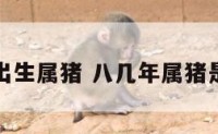 八几年出生属猪 八几年属猪是哪一年