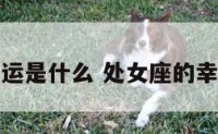 处女座的幸运是什么 处女座的幸运物是什么