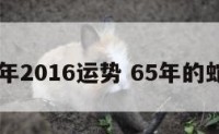 属蛇65年2016运势 65年的蛇的运势