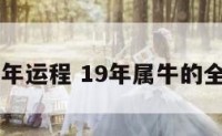 属牛19年运程 19年属牛的全年运程