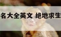 绝地求生起名大全英文 绝地求生名字大全霸气英文名字