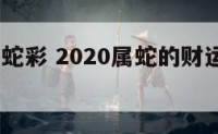 2020属蛇彩 2020属蛇的财运和运气如何