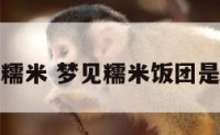 解梦梦见糯米 梦见糯米饭团是怎么回事