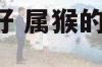 属猴的住几层最好 属猴的,住几层楼房比较好