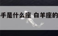 白羊座的对手是什么座 白羊座的对头是什么座
