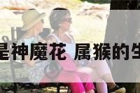 属猴是神魔花 属猴的生命花