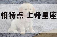 上升狮子座长相特点 上升星座狮子座性格特点