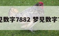 梦见数字7882 梦见数字783