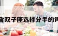 包含双子座选择分手的词条
