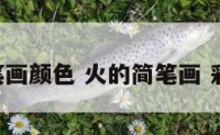 火的简笔画颜色 火的简笔画 彩色 画法