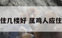 属属鸡住几楼好 属鸡人应住几楼好