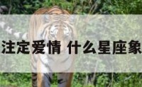 什么星注定爱情 什么星座象征爱情