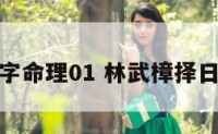 林武樟八字命理01 林武樟择日应用讲义