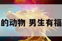 男子福气的动物 男生有福气的象征