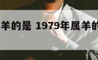 1979属羊的是 1979年属羊的到底是什么命