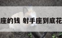 花射手座的钱 射手座到底花不花心