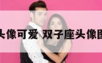 双子座头像可爱 双子座头像图片高冷