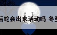 冬至过后蛇会出来活动吗 冬至蛇冬眠