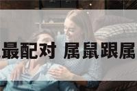 属鼠的跟属兔最配对 属鼠跟属兔的人相配吗