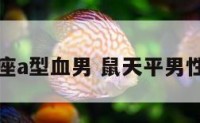 鼠天平座a型血男 鼠天平男性格特点