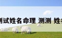 测试姓名命理 测测 姓名
