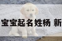 给还未出生的宝宝起名姓杨 新生儿起名姓杨