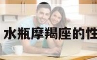 水瓶偏摩羯座 水瓶摩羯座的性格和缺点优点