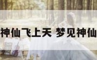 梦见帮神仙飞上天 梦见神仙带我飞