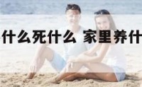 家里植物养什么死什么 家里养什么植物容易成活