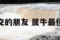 属牛适合结交的朋友 属牛最佳朋友和敌人