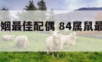 84属鼠婚姻最佳配偶 84属鼠最佳结婚年龄