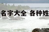 常见的姓氏和名字大全 各种姓氏取名字大全集