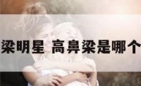 世界高鼻梁明星 高鼻梁是哪个国家的人