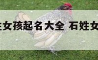 2017石姓女孩起名大全 石姓女孩有涵养的名字