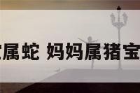 妈妈属猪宝宝属蛇 妈妈属猪宝宝属蛇相克吗