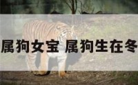 冬至出生属狗女宝 属狗生在冬月好不好