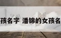 潘锦的女孩名字 潘锦的女孩名字好听吗