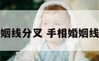 手相婚姻线分叉 手相婚姻线分叉多