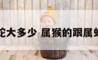 属猴比属蛇大多少 属猴的跟属蛇的差几岁