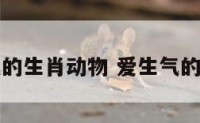 爱生气的生肖动物 爱生气的小动物